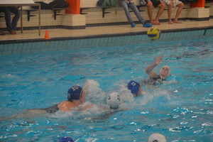 Divers waterpolo 2012