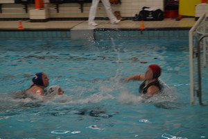 Divers waterpolo 2012