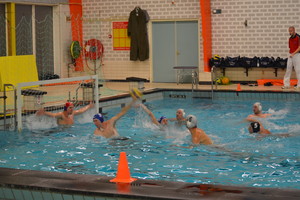 Divers waterpolo 2012