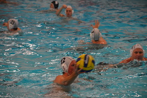 Divers waterpolo 2012