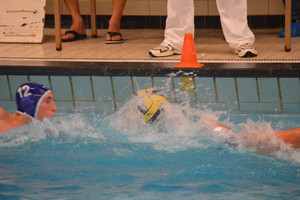 Divers waterpolo 2012