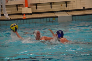 Divers waterpolo 2012